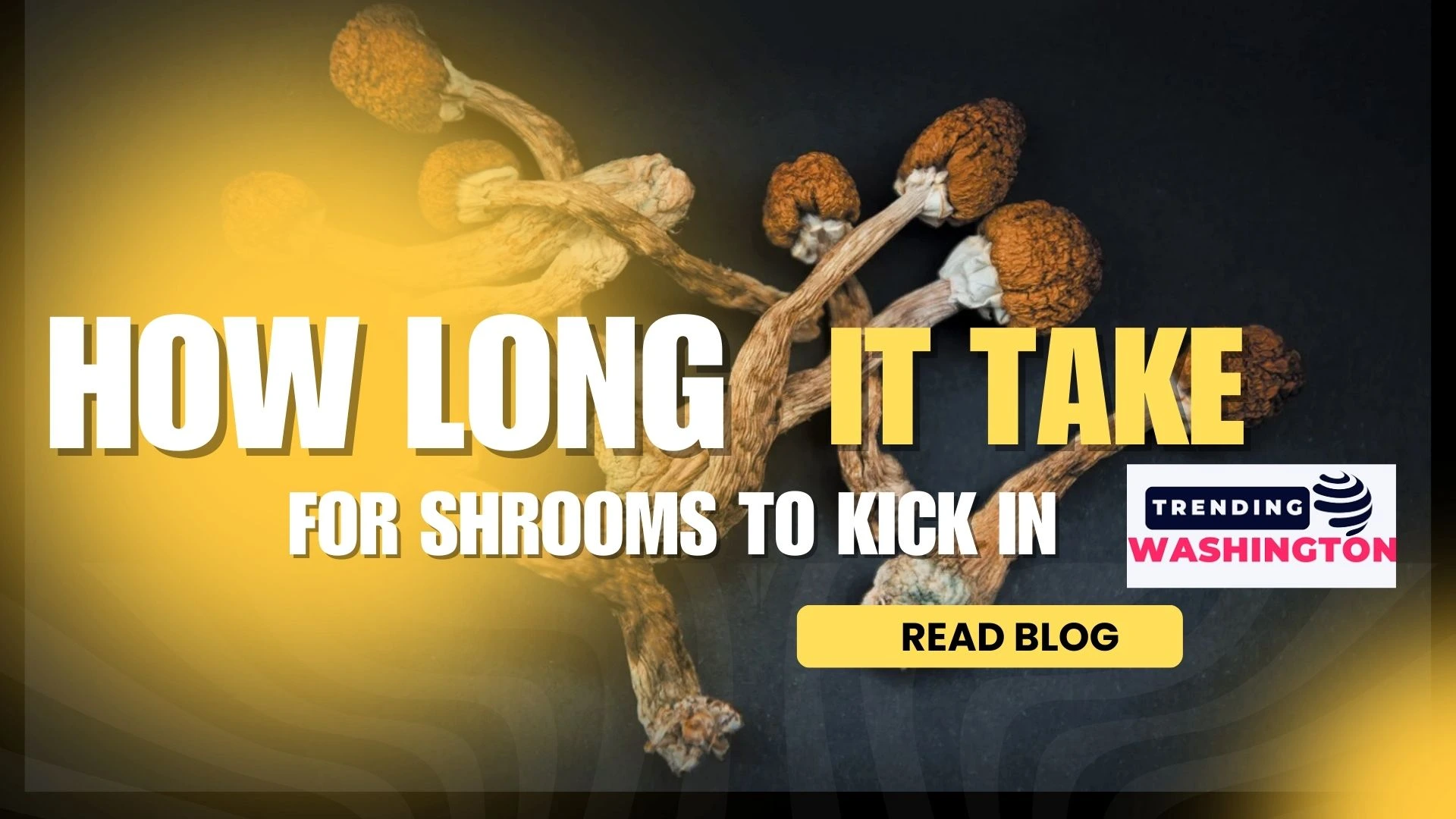 How-long-does-it-take-for-shrooms-to-kick-in​